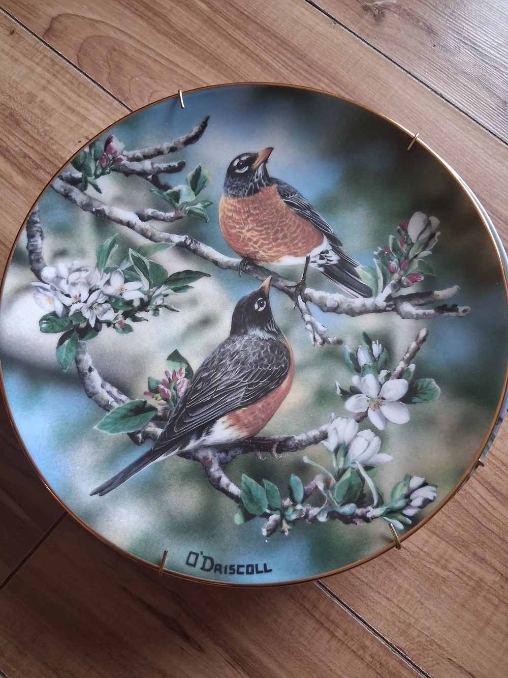 Robin Decorative Plate - Orange & Green